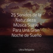 25 Sonidos de la Naturaleza: Música Suave Para Una Gran Noche de Sueño