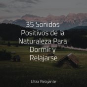 35 Sonidos Positivos de la Naturaleza Para Dormir y Relajarse