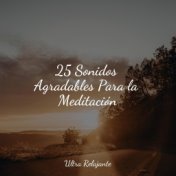 25 Sonidos Agradables Para la Meditación