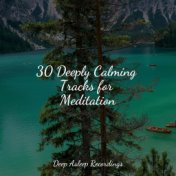 30 Deeply Calming Tracks for Meditation