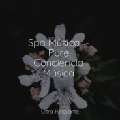 Spa Música  - Pure Conciencia Música