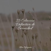 25 Colección Definitiva de Serenidad