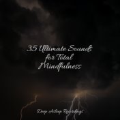 35 Ultimate Sounds for Total Mindfulness