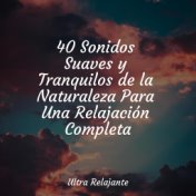 40 Sonidos Suaves y Tranquilos de la Naturaleza Para Una Relajación Completa