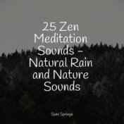 25 Zen Meditation Sounds - Natural Rain and Nature Sounds