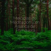 Melodías de Meditación Zen Asiática de Primavera