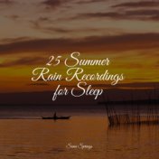 25 Summer Rain Recordings for Sleep