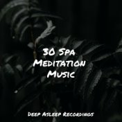 30 Spa Meditation Music