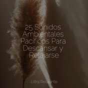 25 Sonidos Ambientales Pacíficos Para Descansar y Relajarse