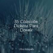 35 Colección Dichosa Para Dormir