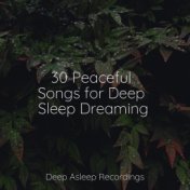 30 Peaceful Songs for Deep Sleep Dreaming