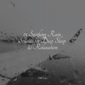 25 Soothing Rain Sounds for Deep Sleep & Relaxation