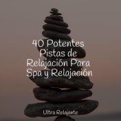 40 Potentes Pistas de Relajación Para Spa y Relajación