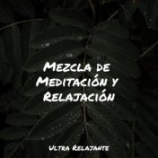 Mezcla de Meditación y Relajación