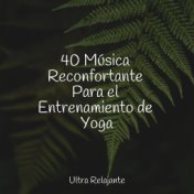 40 Música Reconfortante Para el Entrenamiento de Yoga