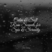 Calm & Soft Rain Sounds for Spa & Serenity