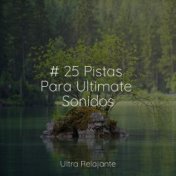 # 25 Pistas Para Ultimate Sonidos