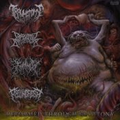 Deformed Through Gluttony (Split Version)