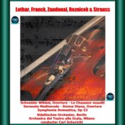Lothar, franck, zandonai, rezniček & strauss: Schneider wibbel, overture - le chasseur maudit - serenata medioevale - donna dian...