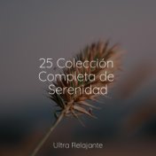 25 Colección Completa de Serenidad