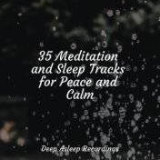 35 Meditation and Sleep Tracks for Peace and Calm