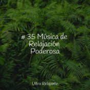 # 35 Música de Relajación Poderosa