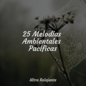 25 Melodías Ambientales Pacíficas