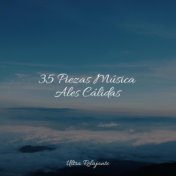 35 Piezas Música Ales Cálidas