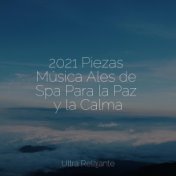 2021 Piezas Música Ales de Spa Para la Paz y la Calma