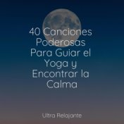 40 Canciones Poderosas Para Guiar el Yoga y Encontrar la Calma