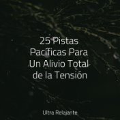 25 Pistas Pacíficas Para Un Alivio Total de la Tensión