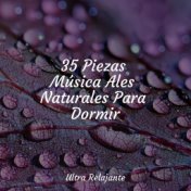 35 Piezas Música Ales Naturales Para Dormir