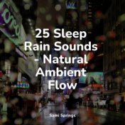 25 Sleep Rain Sounds - Natural Ambient Flow