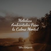 Melodías Ambientales Para la Calma Mental