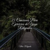 25 Canciones Para Ejercicios de Yoga Relajantes