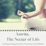 Amrita, The Nectar of Life: Soothing Amazing Sounds for Pranayama and Meditation