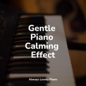 Gentle Piano Calming Effect
