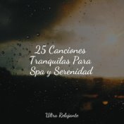 25 Canciones Tranquilas Para Spa y Serenidad