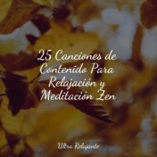 25 Canciones de Contenido Para Relajación y Meditación Zen
