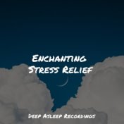 Enchanting Stress Relief
