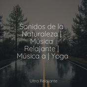 Sonidos de la Naturaleza | Música Relajante | Música a | Yoga