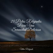 25 Pistas Relajantes Para Una Serenidad Deliciosa