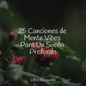 25 Canciones de Mente Vibes Para Un Sueño Profundo