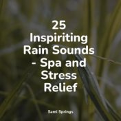 25 Inspiriting Rain Sounds - Spa and Stress Relief