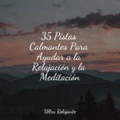 35 Pistas Calmantes Para Ayudar a la Relajación y la Meditación