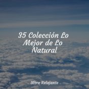 35 Colección Lo Mejor de Lo Natural