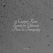 25 Content Rain Sounds for Ultimate Peace & Tranquility