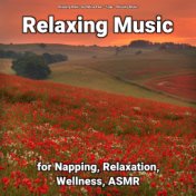 Relaxing Music for Napping, Relaxation, Wellness, ASMR