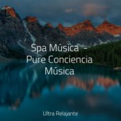 Spa Música  - Pure Conciencia Música