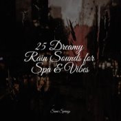 25 Dreamy Rain Sounds for Spa & Vibes